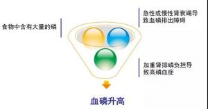 透析肾友常见问题—高磷血症