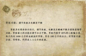 肾脏病之营养关照：肾脏职能（3）