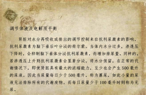 肾脏病之营养关照：肾脏职能（4）
