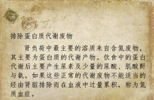 肾脏病之营养关照：肾脏职能（5）