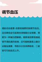 肾脏病之营养关照：肾脏职能（7）
