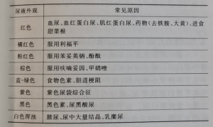 您的肾脏健全吗？？？？？？？(一)